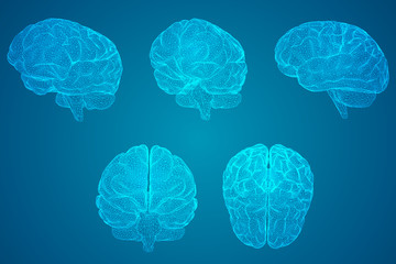 惠风和畅的意思是什么