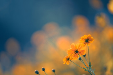 为什么京东、途虎上的轮胎比实体店便宜那么多-