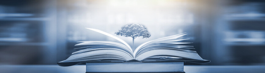 大众polo换离合器片多少钱