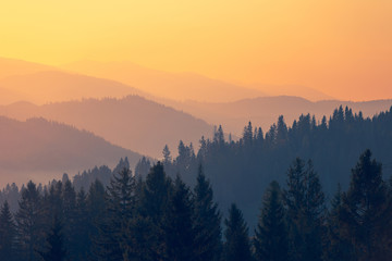 本田400最高时速能跑多少