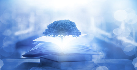 坦克世界T110E3和E-100坦克歼击车哪个更好-分别该怎么用？