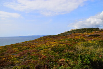 坦克世界T110E3和E-100坦克歼击车哪个更好-分别该怎么用？