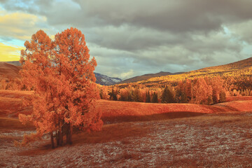 坦克世界T110E3和E-100坦克歼击车哪个更好-分别该怎么用？