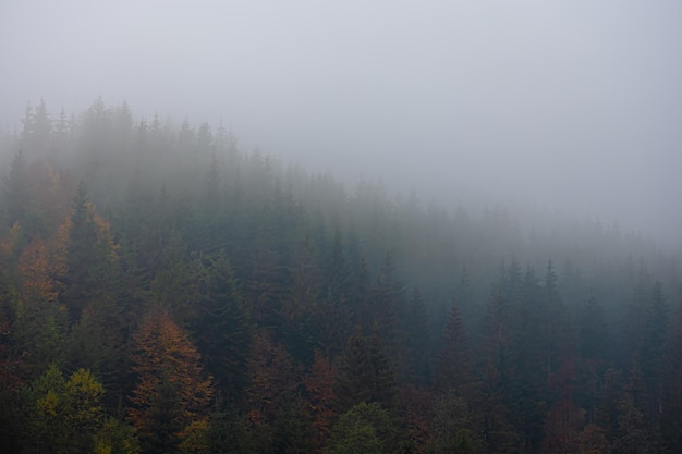 本田400最高时速能跑多少
