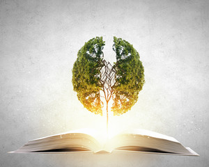 坦克世界T110E3和E-100坦克歼击车哪个更好-分别该怎么用？