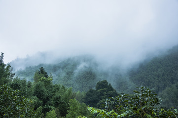 为什么京东、途虎上的轮胎比实体店便宜那么多-